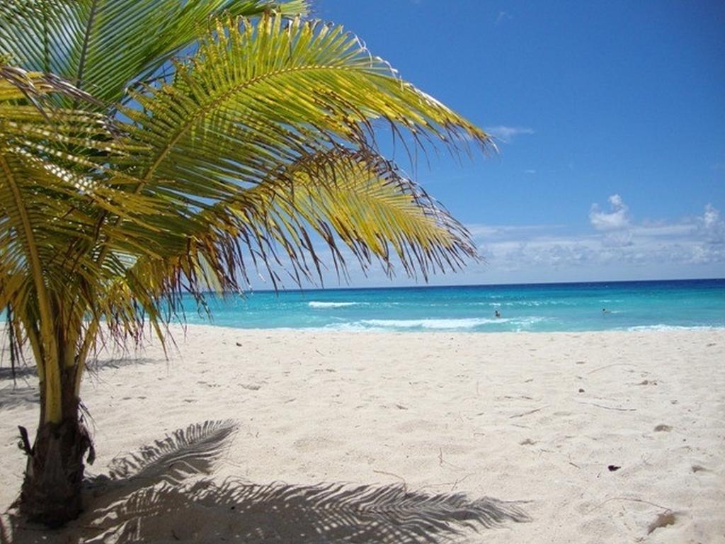 Beach Guest House Cleverdale Bridgetown Phòng bức ảnh
